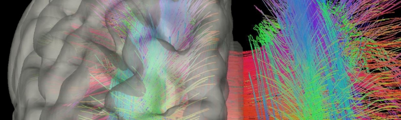 Biomedical Engineering Banner