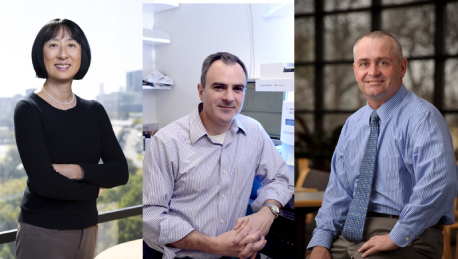 Drs. Chen, DeBerardinis and Elmquist
