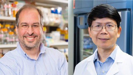 Drs. Rosen and Chen
