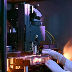 William P. Clements, Jr., University Hospital