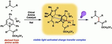 Catalytic photochemical enantioselective α-alkylation with pyridinium salts
