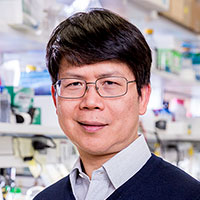 Zhijian “James” Chen, Ph.D.