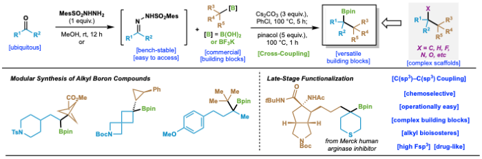 Practical and Modular Construction of C(sp3)-rich Alkyl Boron Compounds